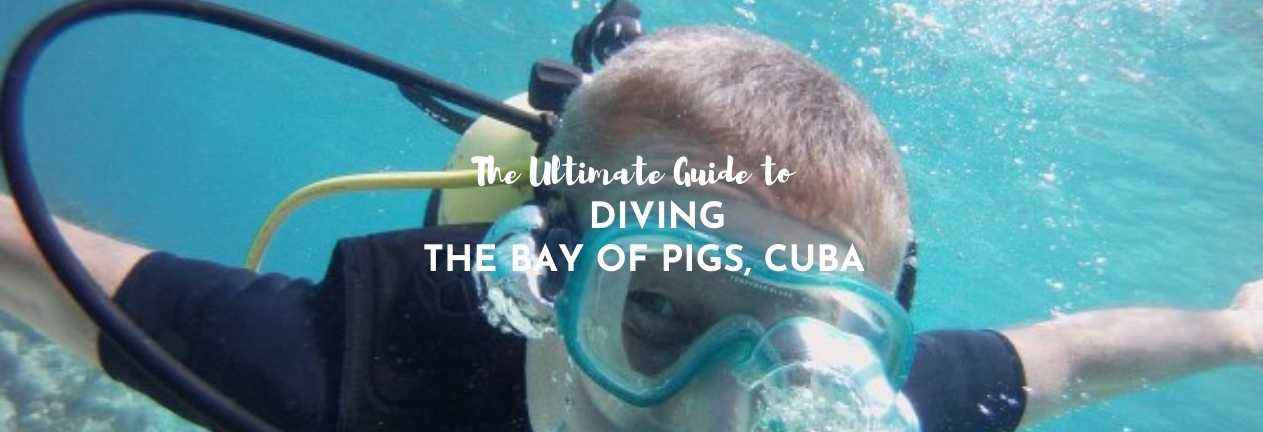 ultimate guide to diving the bay of pigs