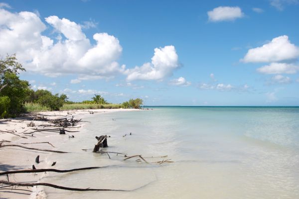 Cayo Jutias