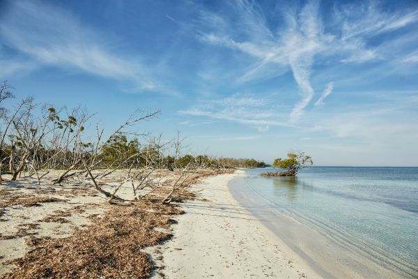 Cayo Levisa beach