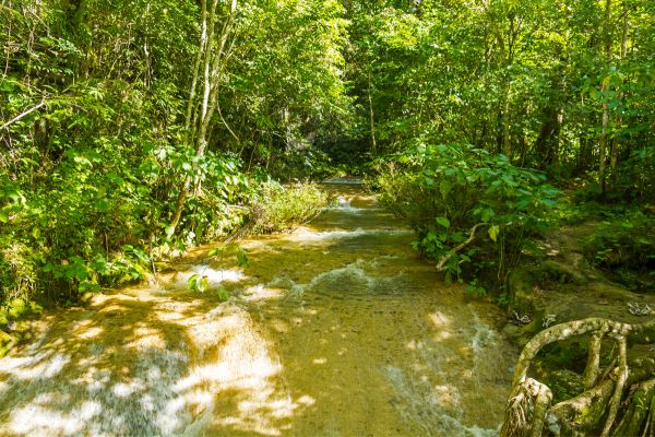 El Nicho Park Cuba