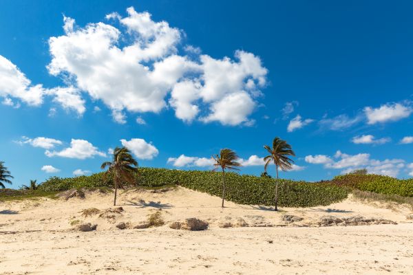 Havana Beaches Playas del Este