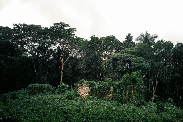 Las Terrazas