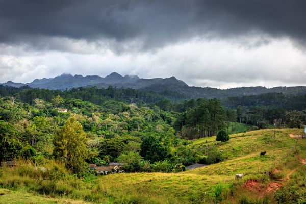 Panoramic Views in Topes de Collantes
