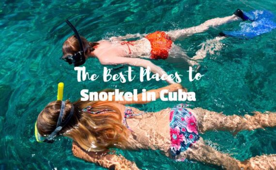 Snorkel