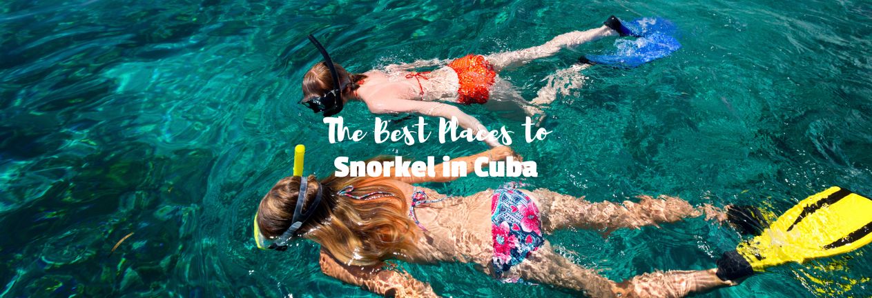 Snorkel