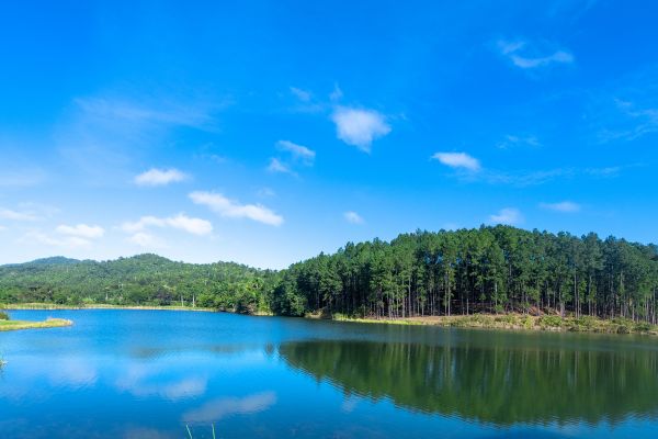 Visit Las Terrazas